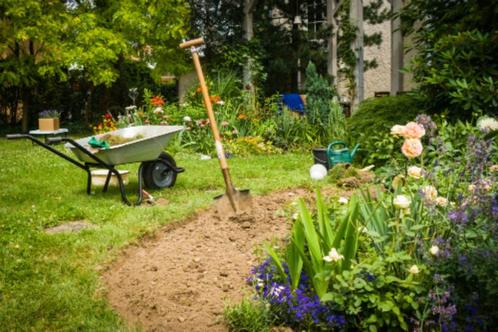 Tuinhulp aangeboden, Tuin en Terras, Overige Tuin en Terras, Ophalen of Verzenden