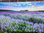 Canvas lavendelveld xl €10,- afhaal, Ophalen, Zo goed als nieuw, Schilderij, 100 tot 125 cm