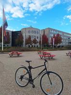 Bike Riverside 100, Ophalen of Verzenden, Zo goed als nieuw, Minder dan 10 versnellingen, Overige merken