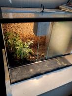 Terrarium bak, Dieren en Toebehoren, Ophalen, Gebruikt, Terrarium of Paludarium