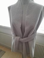 DRYKORN teddy dames gilet mt 42, Kleding | Dames, Drykorn, Beige, Maat 42/44 (L), Ophalen of Verzenden