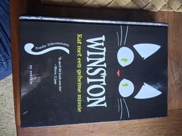 Winston, kat met een geheime missie  beschikbaar voor biedingen