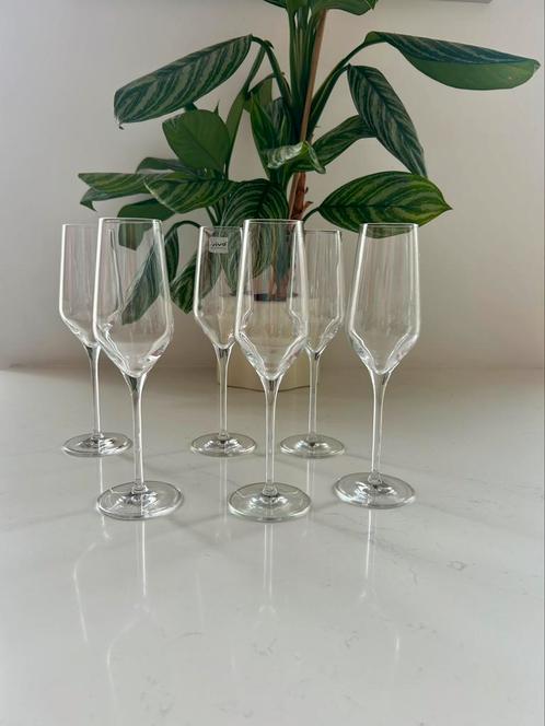 6 Vivo champagneflutes. Villeroy Boch vivo glazen, Verzamelen, Glas en Borrelglaasjes, Zo goed als nieuw, Overige typen, Ophalen of Verzenden