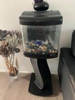 Visaquarium, Dieren en Toebehoren, Vissen | Aquaria en Toebehoren, Ophalen, Gebruikt, Leeg aquarium