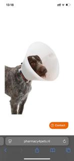 Buster kraag, Ophalen of Verzenden, Nieuw