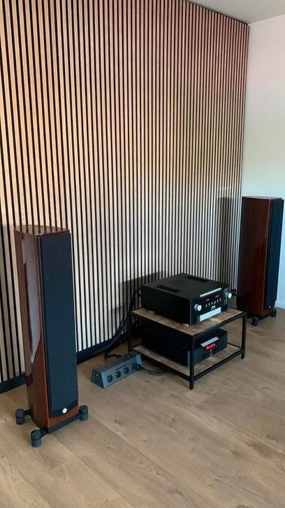 System audio Pandion 20, Audio, Tv en Foto, Luidsprekers, Zo goed als nieuw, Front, Rear of Stereo speakers, 120 watt of meer