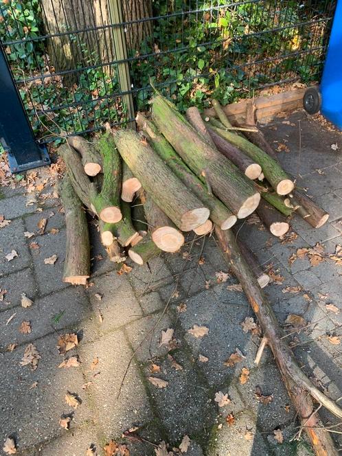 GRATIS OPENHAARD HOUT, Tuin en Terras, Haardhout, Blokken, Overige houtsoorten, Minder dan 3 m³, Ophalen of Verzenden
