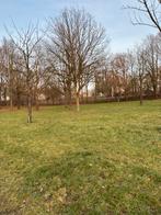 Wandelhond gezocht Heerlen centrum/Zuid, Ophalen