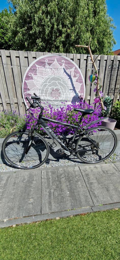 Bulls CL-300, Fietsen en Brommers, Fietsen | Mountainbikes en ATB, Gebruikt, Overige merken, Hardtail, Ophalen