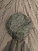 Grijze Flat Cap, Ophalen of Verzenden, Zo goed als nieuw, One size fits all, Pet
