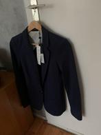 Expresso Blazer - Nieuw met kaartjes - Donkerblauw, Nieuw, Ophalen of Verzenden, Jasje, Maat 36 (S)