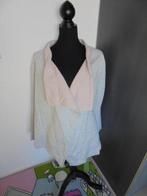 Grijs met roze vest maat 40, Ophalen of Verzenden, Zo goed als nieuw, Maat 38/40 (M), Grijs