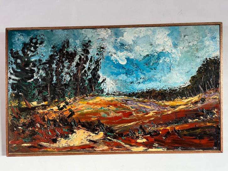Landschap schilderij olieverf op doek, Antiek en Kunst, Kunst | Schilderijen | Abstract, Ophalen of Verzenden