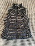 HV Polo bodywarmer grijs maat S. ZGAN!, Kleding | Dames, Bodywarmers, Ophalen of Verzenden, Zo goed als nieuw, Maat 38/40 (M)