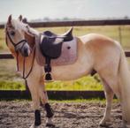 Mooie 5 jarige haflinger ruin te koop, Dieren en Toebehoren, Paarden, Minder dan 160 cm, Gechipt, Ruin, Dressuurpaard