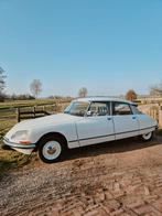 Citroën DS D super 1973.  (evt inruil oldtimer auto ), Auto's, Oldtimers, Stof, Citroën, Wit, Handgeschakeld