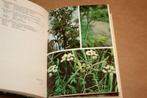 Giftige planten in en om huis | J.W. de Bruyn F. Schneider, Ophalen of Verzenden, Gelezen, Bloemen, Planten en Bomen