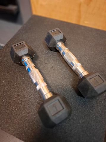 2x 1 kilo hexagon dumbell beschikbaar voor biedingen