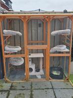 Kattenren, Dieren en Toebehoren, Katten-accessoires, Ophalen