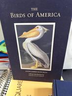 John James Audubon - Prachtig Vogelboek, Ophalen of Verzenden, Gelezen, Vogels