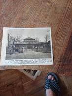 Knipsel nieuwe eenhoevigenhuis dierentuin Artis Amsterdam, Ophalen of Verzenden, 1920 tot 1940, Knipsel(s)