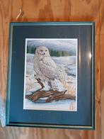 Borduurwerk sneeuwuil, Ophalen, Zo goed als nieuw, Overige typen