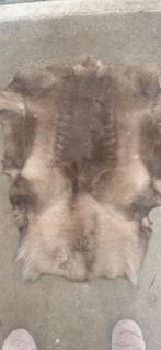 Originele Rendier Vacht - 160x80 cm Helemaal nieuw, Grijs, Natuurlijk, Zo goed als nieuw, 150 tot 200 cm