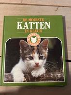 De Mooiste Katten in Kleur - Boek, Boeken, Ophalen, Gelezen, Katten