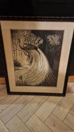 Ets Gravure litho van paradijsvogel van Dam, Antiek en Kunst, Ophalen of Verzenden