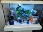 Zeer mooie completen aquarium pomp en verwarmingselement 70L, Dieren en Toebehoren, Ophalen, Zo goed als nieuw, Leeg aquarium