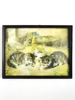 Vintage 50s kitsch kat katten kittens prent kunst lijst hout, Ophalen, Gebruikt, 1940 tot 1960, Dier