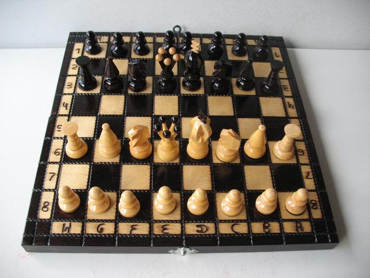 Mooi speciaal schaakspel in houten koffer, Hobby en Vrije tijd, Gezelschapsspellen | Bordspellen, Zo goed als nieuw, Ophalen of Verzenden