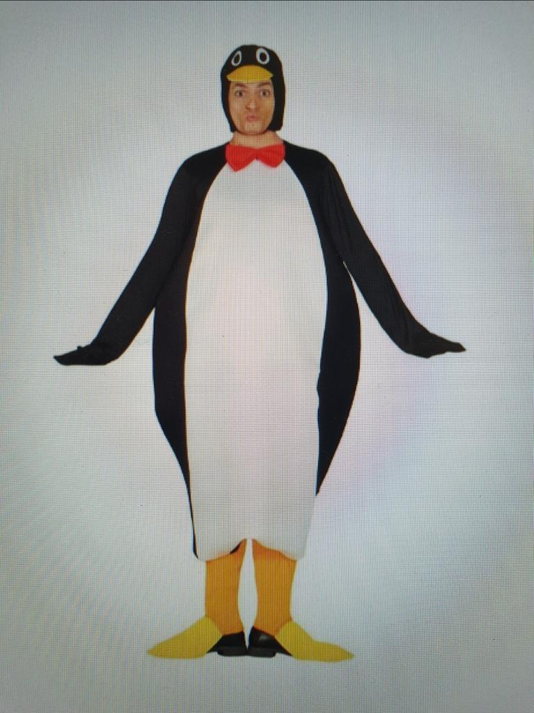 Pinguïn Carnavalspak - 4 stuks- Maat volwassene, Ophalen, Carnaval, Onbekend, Overige maten