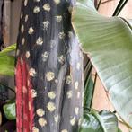 Beeld XXL polkadot kat vintage, Ophalen, Zo goed als nieuw, Dier