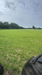 Gezocht stuk grasland te huur, Weidegang