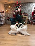 Prachtig Set Opgezette Zwanen - Taxidermie, Ophalen of Verzenden