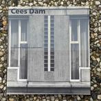 Architect Cees Dam, Boeken, Ophalen of Verzenden, Gelezen, Architecten