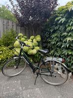 Giant freerider t6 6061 frame maat 57, Fietsen en Brommers, Fietsen | Dames | Damesfietsen, Ophalen, Gebruikt, Versnellingen, 56 cm of meer
