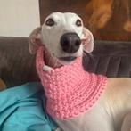 Gehaakte snood-halswarmer-colsjaal-hondenhalsband roze XL, Dieren en Toebehoren, Ophalen of Verzenden, Nieuw, Hondensjaal