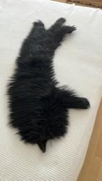 Oude bontstola., Kleding | Dames, Mutsen, Sjaals en Handschoenen, Ophalen of Verzenden, Gedragen, Sjaal