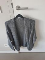 Grijs vest te koop, Ophalen of Verzenden, Gedragen, Grijs