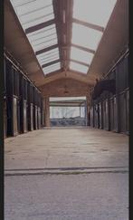 Vrije Boxen (Breda), Dieren en Toebehoren, Stalling en Weidegang, Stalling