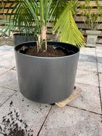 2 Mega grote bloempotten (binnen) graniet look, Ophalen, Zo goed als nieuw, Rond, Kunststof