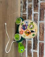 Trekschildpad met Vormenstoof, Ophalen of Verzenden, Gebruikt, Bouwen