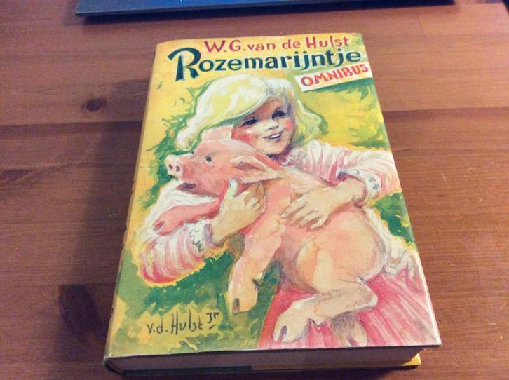 Rozemarijntje Omnibus. W.G. van der Hulst, Boeken, Kinderboeken | Jeugd | onder 10 jaar, Gelezen, Fictie algemeen, Ophalen of Verzenden