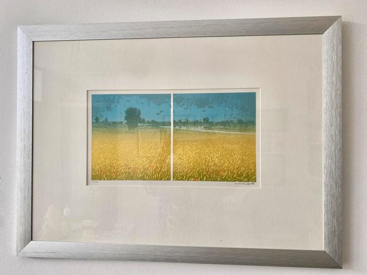 Prachtige Litho nr 40 van 70, Antiek en Kunst, Kunst | Litho's en Zeefdrukken, Ophalen of Verzenden
