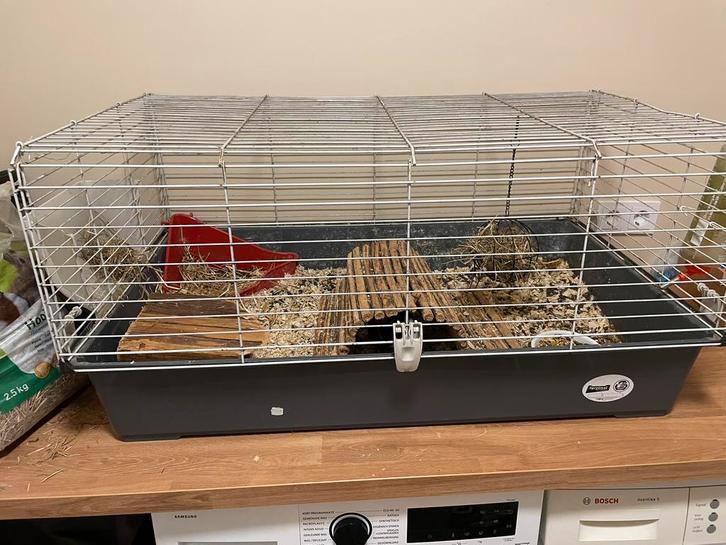 Cavia met kooi en ton voor voer, Dieren en Toebehoren, Knaagdieren en Konijnen | Hokken en Kooien, Zo goed als nieuw, Kooi, Minder dan 60 cm