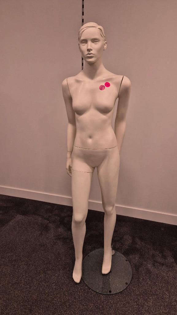 Paspop Model F Kledingpop Etalagepop Vrouwelijk Dames, Hobby en Vrije tijd, Naaien en Fournituren, Gebruikt, Paspop, Ophalen