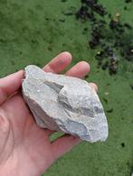 Aquarium stenen, Dieren en Toebehoren, Ophalen, Zo goed als nieuw, Plant(en), Steen of Hout