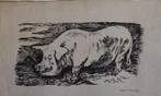 Frans Hazeveld pentekening "Tevreden Varken", gesigneerd, Minder dan 50 cm, Tekening, Gebruikt, 50 tot 75 cm